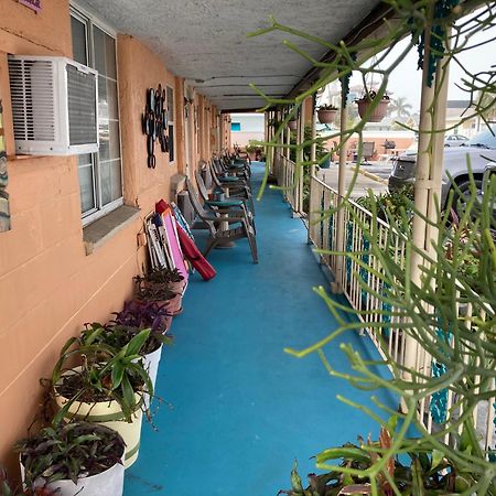 Michaels Siesta Motel St. Petersburg Exteriör bild